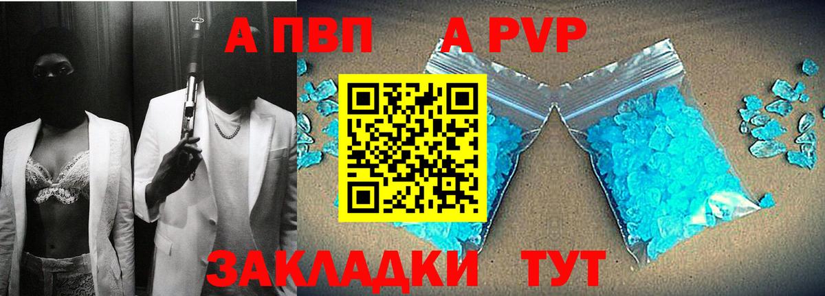A PVP СК КРИС Бийск