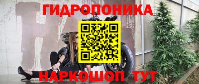 крисы Среднеуральск