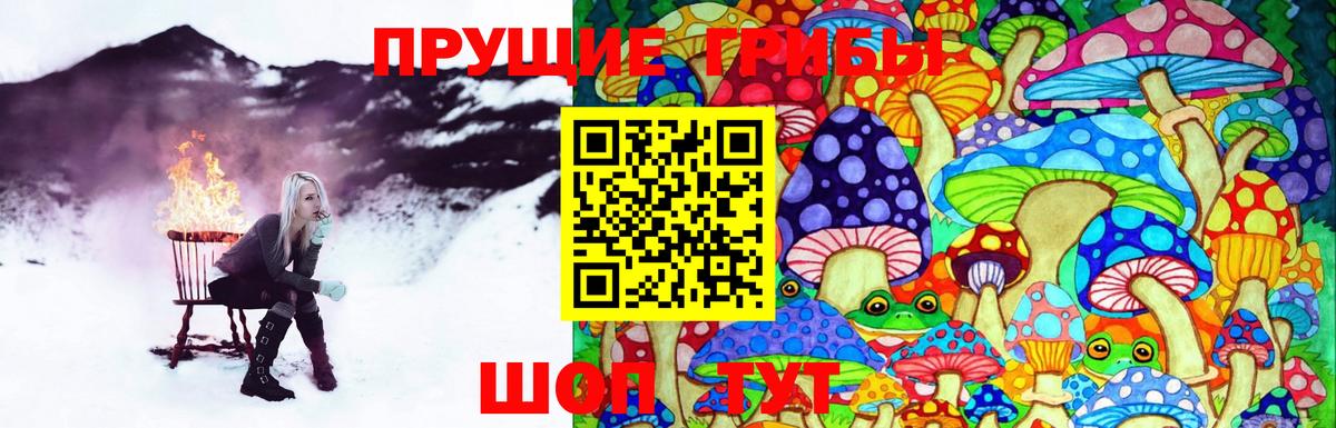 наркота  Вход с VPN  Бийск  Галлюциногенные грибы Magic Shrooms 
